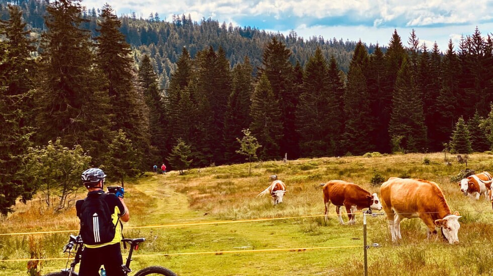 Mountainbike - und Radurlaub im Bayerischen Wald